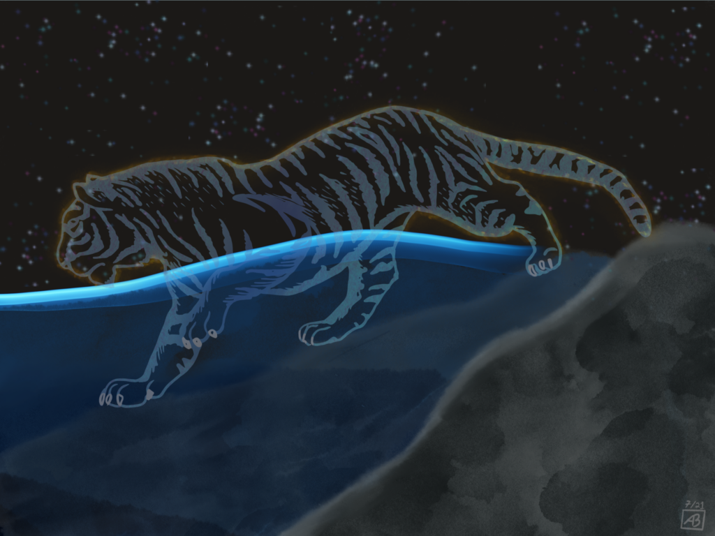 A tiger outlined in pale blue diving head first into dark water under a starry sky, its hind legs still above the surface.